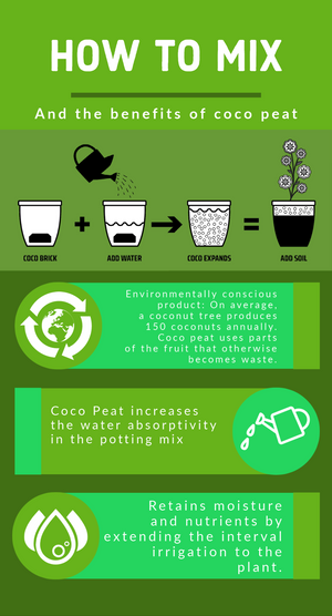 Coco Peat - Growing Medium - 300 Grams