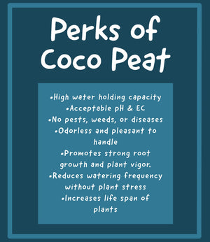 Coco Peat - Growing Medium - 300 Grams